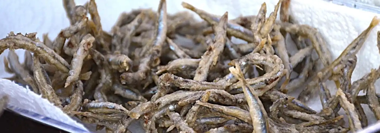 Sonsos a l'andalusa, preparats per formar part del Menú de Les Corones preparat especialment per les Jornades Gastronómiques del Sonso que se celebre na l'Estartit del 15 de maig al 15 de juny.